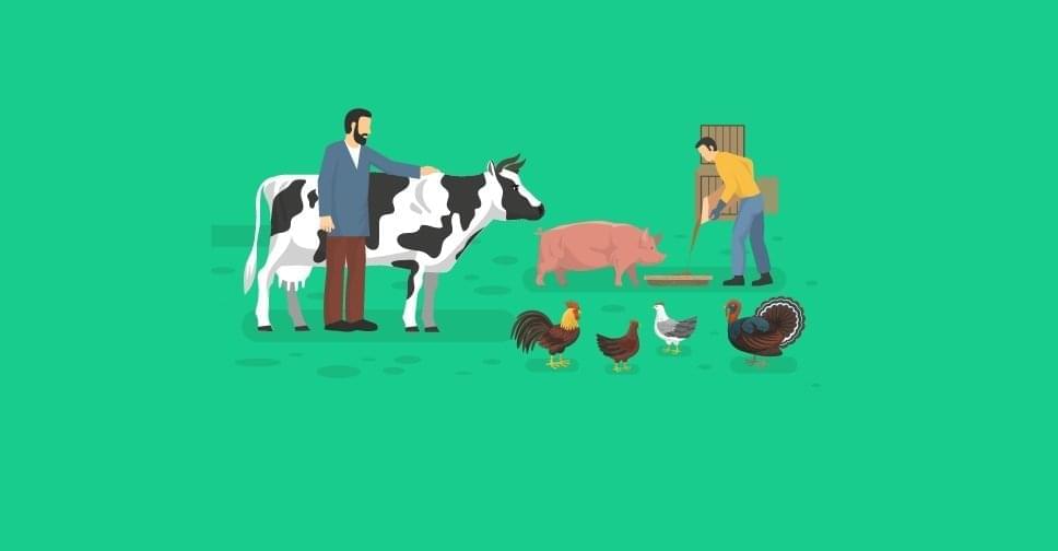 Подробно про стрим Alberta Self-Employed Farmer