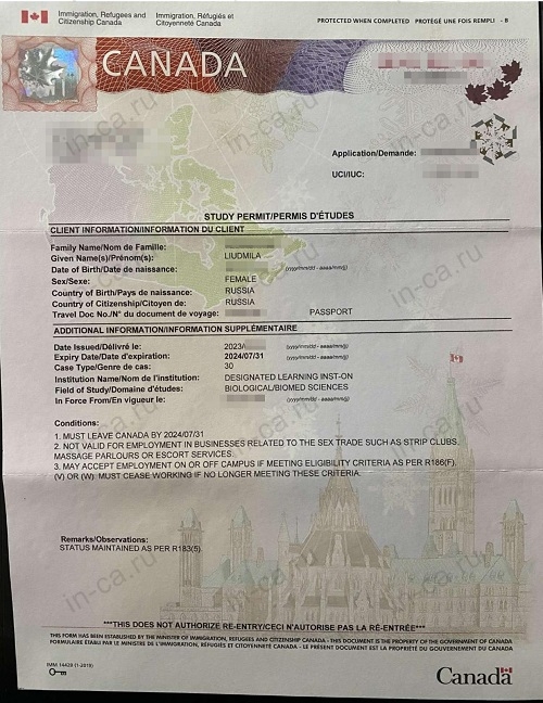 Новый Study Permit