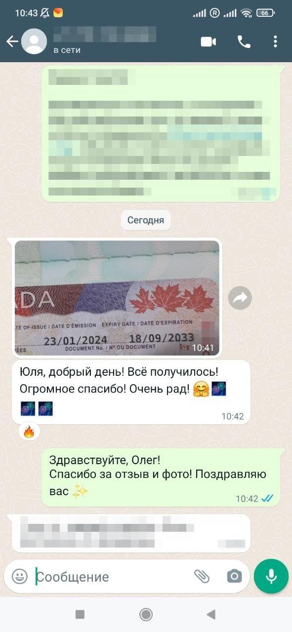 Скриншот отзыва и визы клиента
