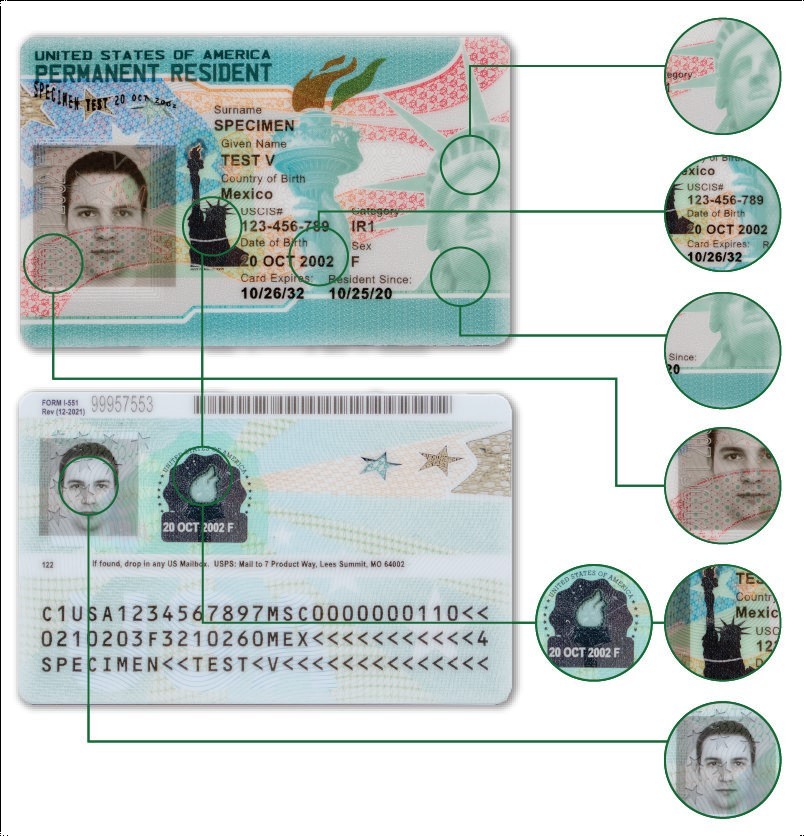 Образец грин-карты США, лицевая и оборотная стороны