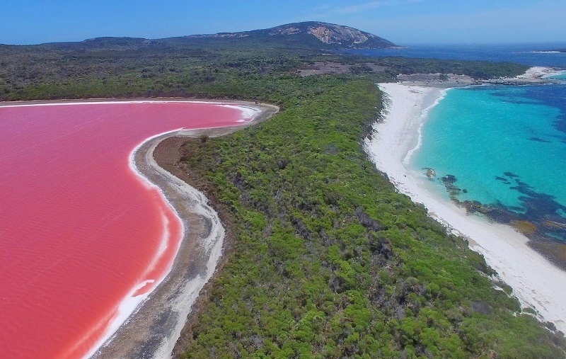 Озеро Хиллиер в Австралии, которое славится своим необычным цветом
