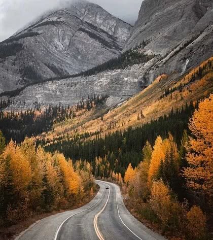 Icefields Parkway (трасса 93)