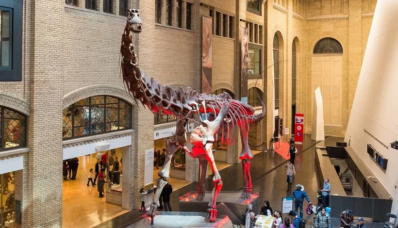 Галерея «Эпоха динозавров», Королевский музей Онтарио