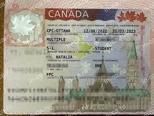 Visitor Visa для владельца Study Permit