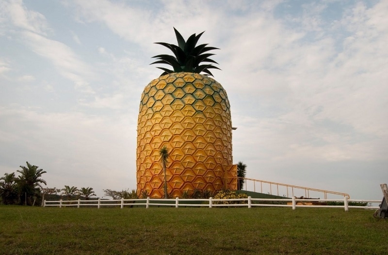 Большой ананас — достопримечательность, расположенная рядом с городом Вумбай