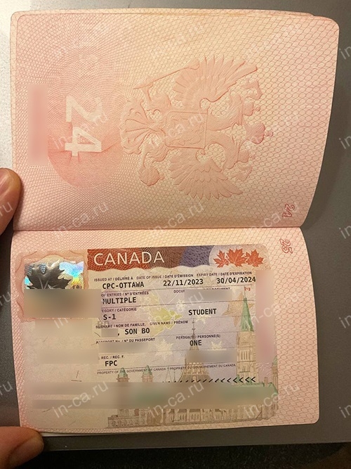 Студенческая виза, полученная в ноябре 2023